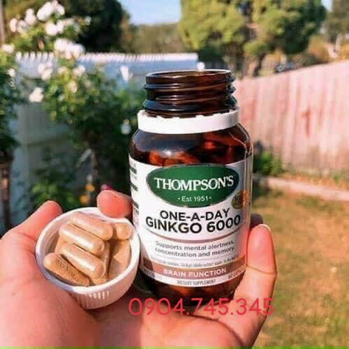 thuoc-bo-nao-ginkgo-biloba-vien-tuan-hoan-mau-nao-thompson’s-ginkgo-6000mg-60-vien-7627